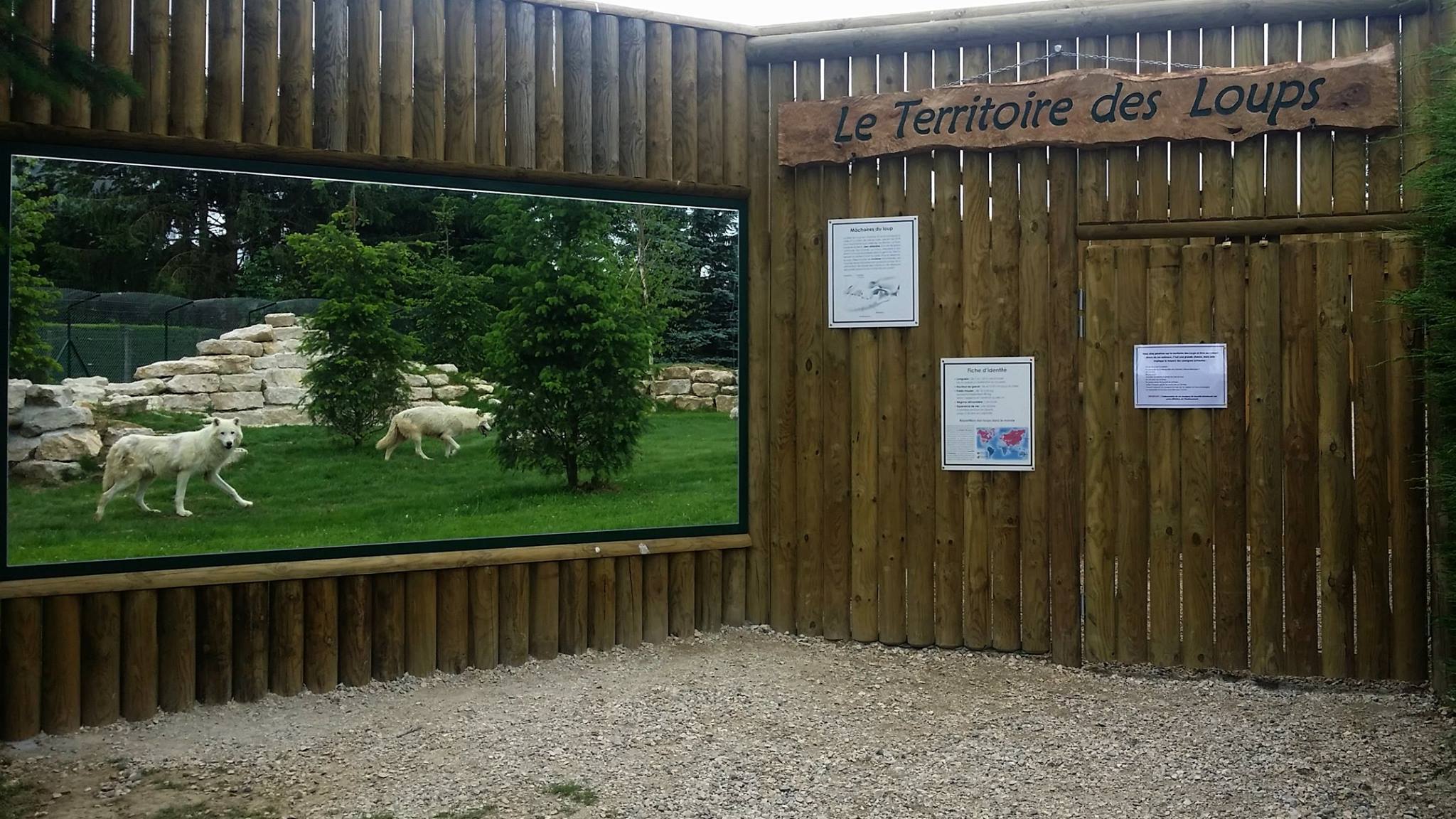 13416927_476811232517151_6829991572501256774_o