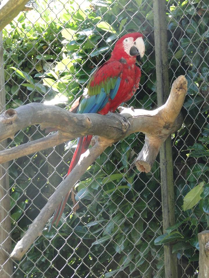 19554493_1859441687606418_4664082356223764753_n